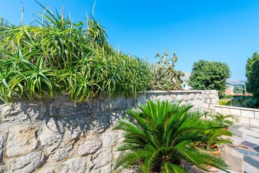 Apartments & Rooms Tapera Dubrovnik Luaran gambar