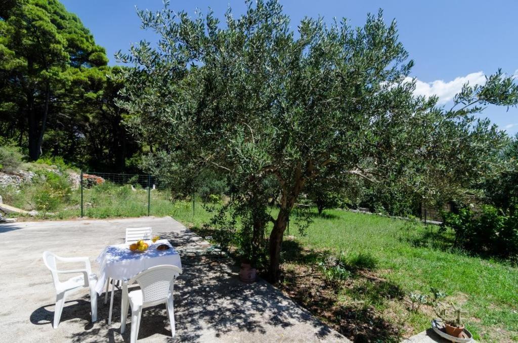 Apartments & Rooms Tapera Dubrovnik Luaran gambar